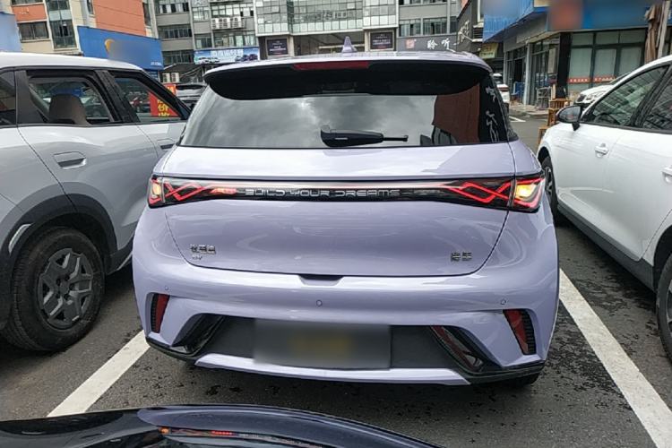 Used BYD Dolphin 2024 Honor Edition 420km Fashion Version Rear