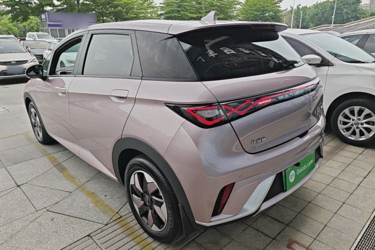 Used BYD Dolphin 2024 Honor Edition 420km Freedom Version Rear Left 45 Deg