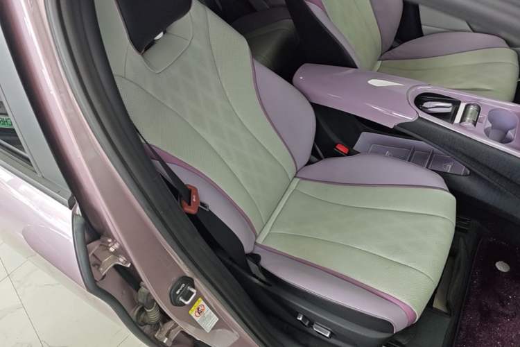 Used BYD Dolphin 2024 Honor Edition 420km Fashion Version Right Front Seat
