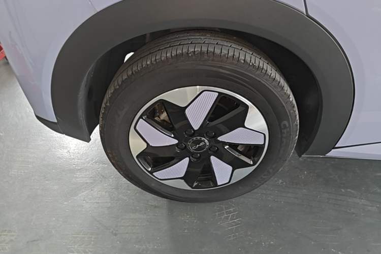Used BYD Dolphin 2024 Honor Edition 420km Freedom Version Right Rear Wheel Hub