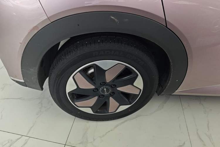 Used BYD Dolphin 2024 Honor Edition 420km Fashion Version Right Rear Wheel Hub