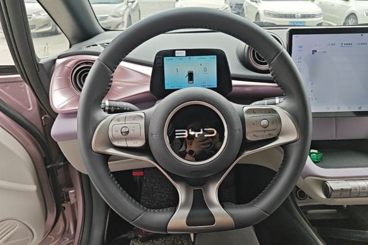 Used BYD Dolphin 2024 Honor Edition 420km Freedom Version Steering Wheel
