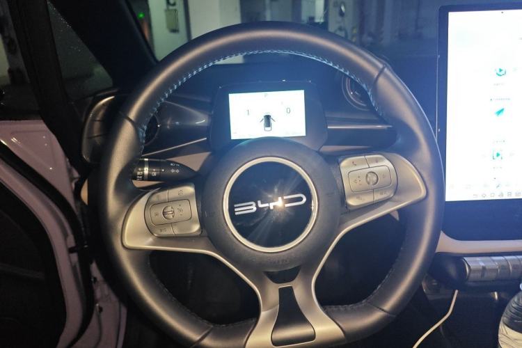 Used BYD Dolphin 2024 Honor Edition 420km Freedom Version Steering Wheel