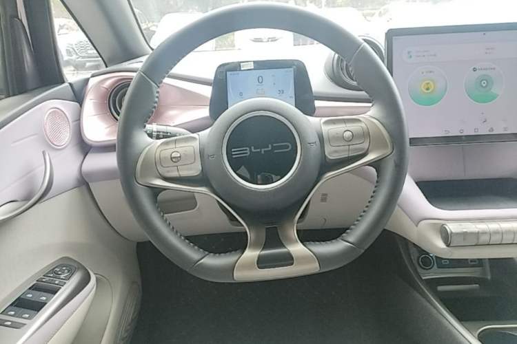 Used BYD Dolphin 2024 Honor Edition 420km Freedom Version Steering Wheel
