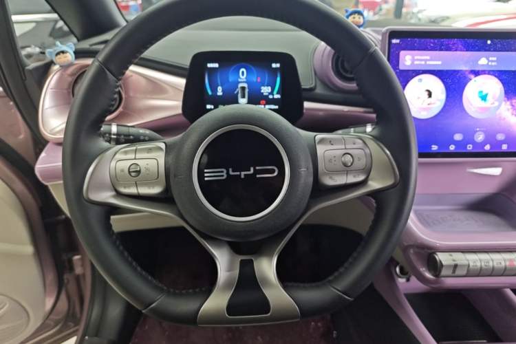 Used BYD Dolphin 2024 Honor Edition 420km Fashion Version Steering Wheel