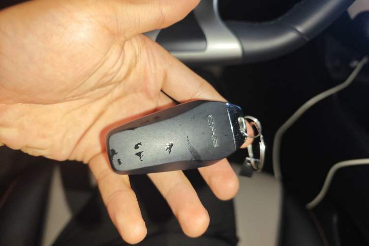 Used BYD Dolphin 2024 Honor Edition 420km Freedom Version Vehicle Key