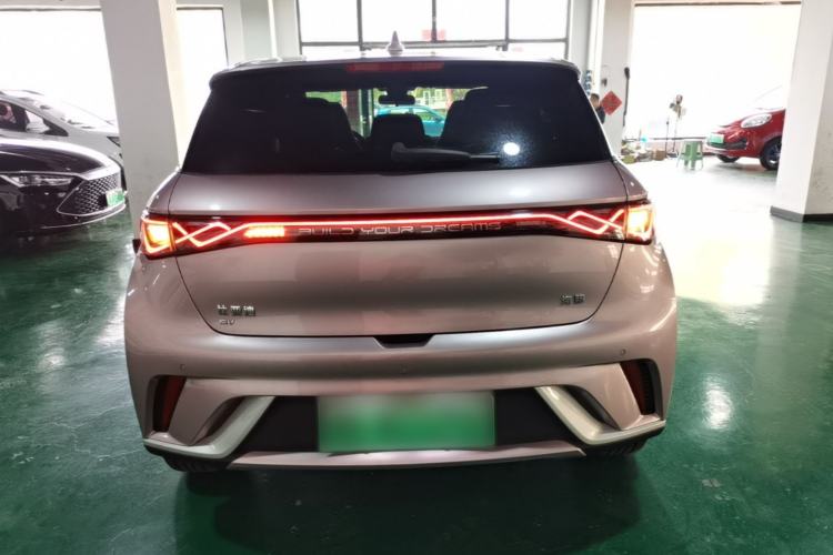 Used BYD Dolphin 2024 Honor Edition 420km Fashion Version Rear