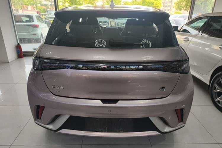 Used BYD Dolphin 2024 Honor Edition 420km Fashion Version Rear
