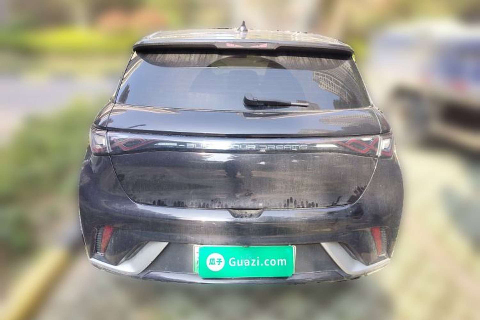Used BYD Dolphin 2024 Honor Edition 420km Fashion Version Rear