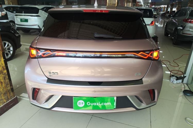 Used BYD Dolphin 2024 Honor Edition 420km Fashion Version Rear