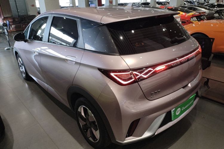Used BYD Dolphin 2024 Honor Edition 420km Freedom Version Rear Left 45 Deg