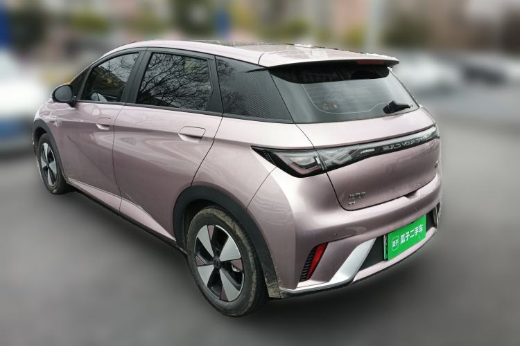 Used BYD Dolphin 2024 Honor Edition 420km Fashion Version Rear Left 45 Deg