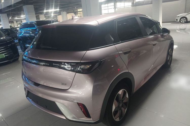Used BYD Dolphin 2024 Honor Edition 420km Freedom Version Rear Right 45 Deg