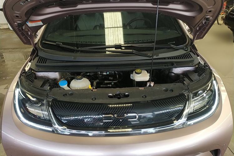 Used BYD Dolphin 2024 Honor Edition 420km Fashion Version Engine Bay