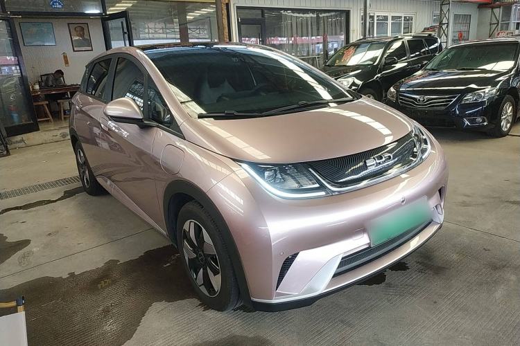 Used BYD Dolphin 2024 Honor Edition 420km Fashion Version Exterior 2