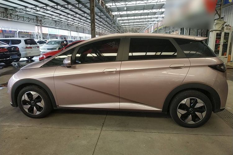 Used BYD Dolphin 2024 Honor Edition 420km Fashion Version Exterior 3