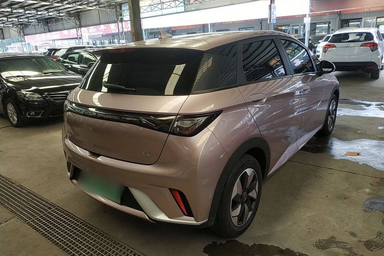Used BYD Dolphin 2024 Honor Edition 420km Fashion Version Exterior 5