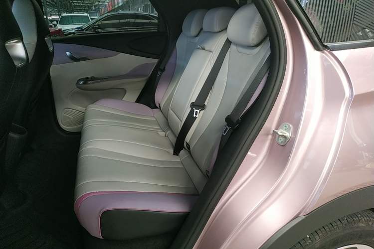 Used BYD Dolphin 2024 Honor Edition 420km Fashion Version Interior 4
