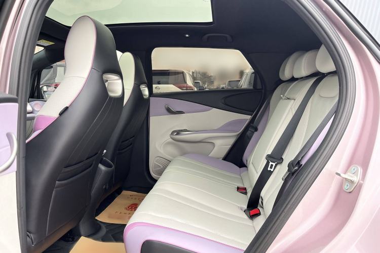 Used BYD Dolphin 2024 Honor Edition 420km Fashion Version Interior 4