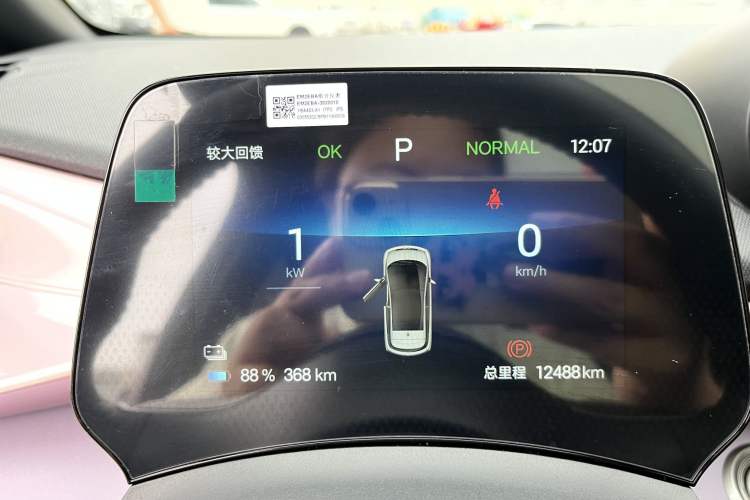 Used BYD Dolphin 2024 Honor Edition 420km Fashion Version Odometer Close Up