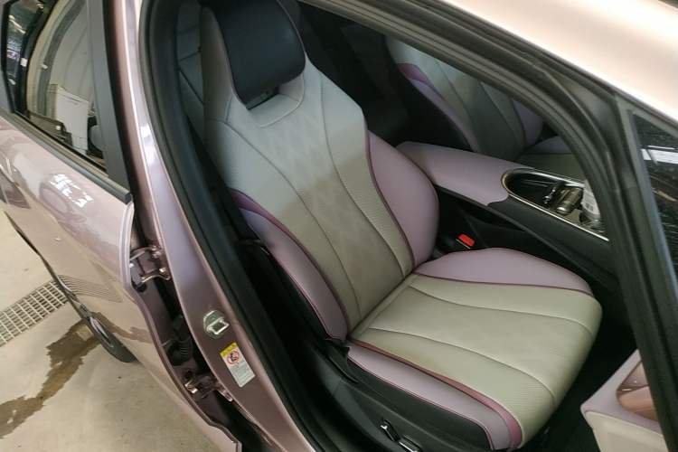Used BYD Dolphin 2024 Honor Edition 420km Fashion Version Right Front Seat