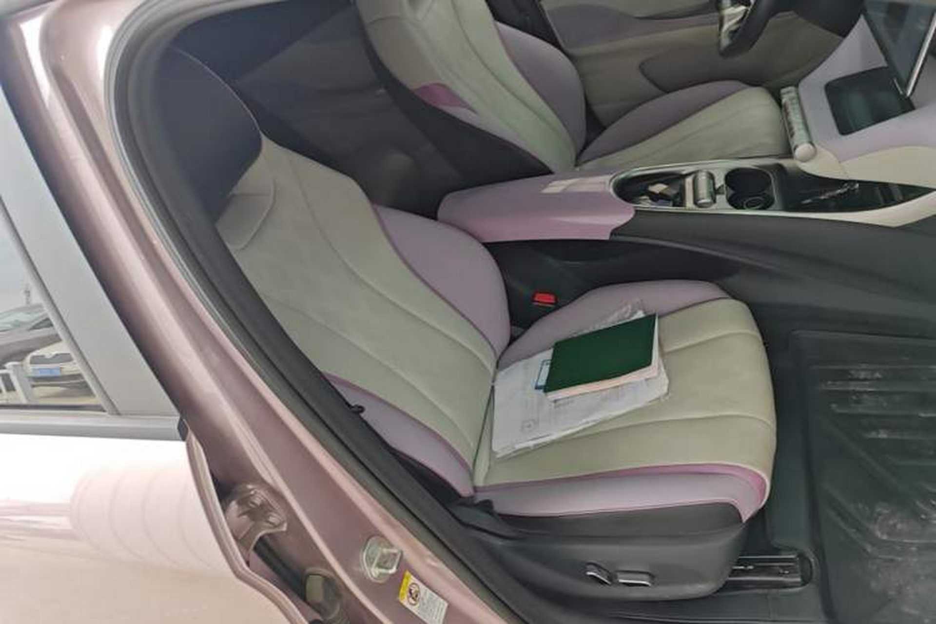 Used BYD Dolphin 2024 Honor Edition 420km Fashion Version Right Front Seat