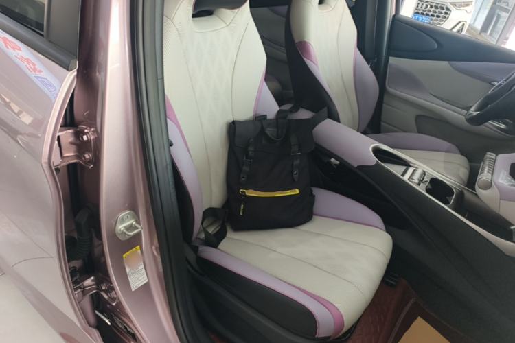 Used BYD Dolphin 2024 Honor Edition 420km Fashion Version Right Front Seat