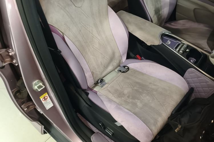 Used BYD Dolphin 2024 Honor Edition 420km Fashion Version Right Front Seat