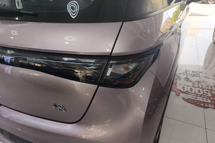Used BYD Dolphin 2024 Honor Edition 420km Fashion Version Right Rear Taillight