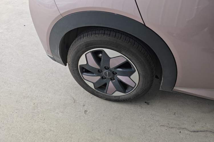 Used BYD Dolphin 2024 Honor Edition 420km Fashion Version Right Rear Wheel Hub