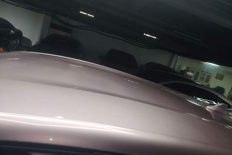 Used BYD Dolphin 2024 Honor Edition 420km Freedom Version Roof