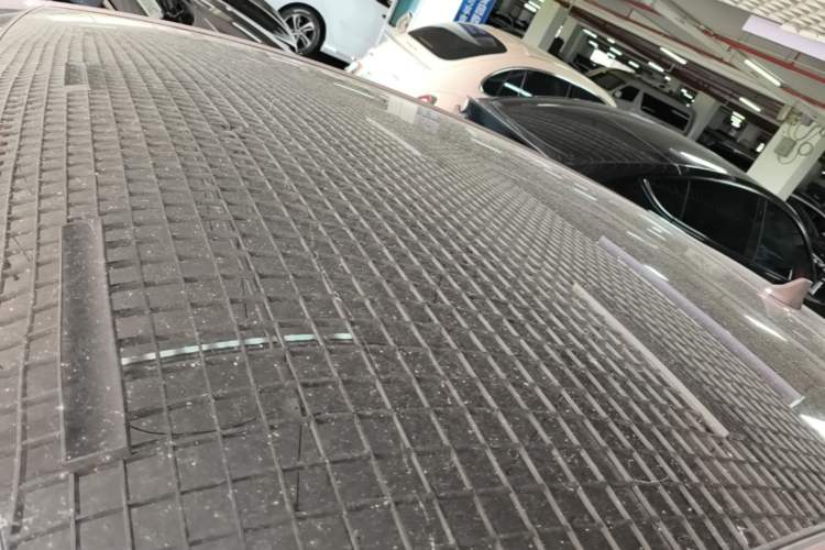 Used BYD Dolphin 2024 Honor Edition 420km Fashion Version Roof