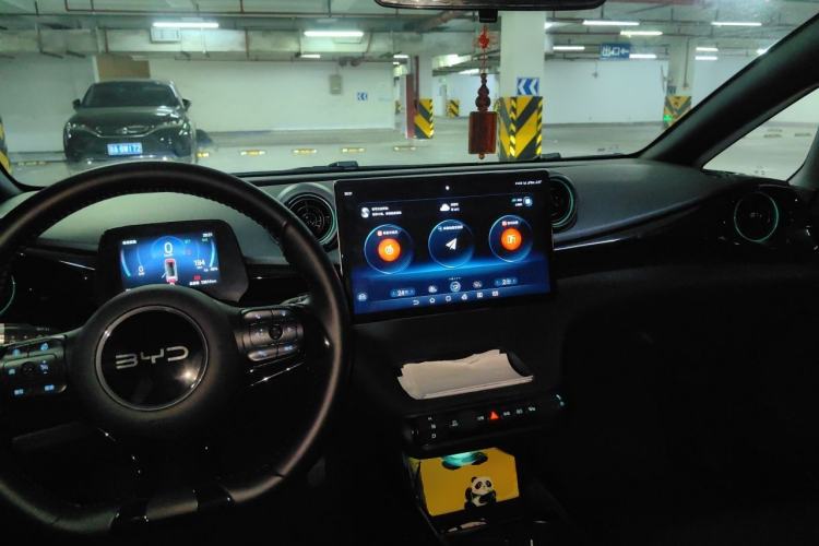 Used BYD Dolphin 2024 Honor Edition 420km Fashion Version Center Console
