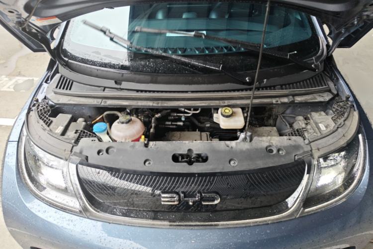 Used BYD Dolphin 2024 Honor Edition 420km Fashion Version Engine Bay