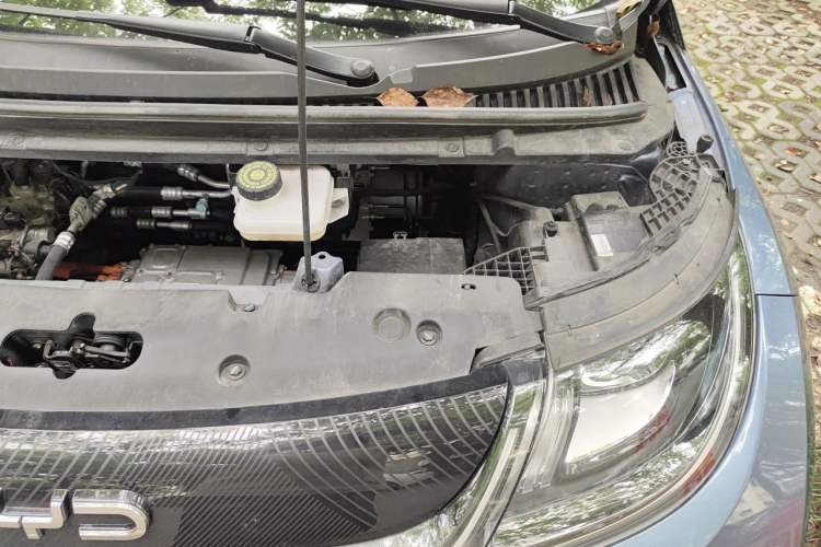 Used BYD Dolphin 2024 Honor Edition 420km Fashion Version Engine Bay Left