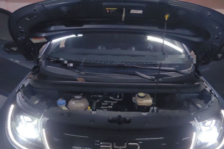 Used BYD Dolphin 2024 Honor Edition 420km Fashion Version Engine Bay