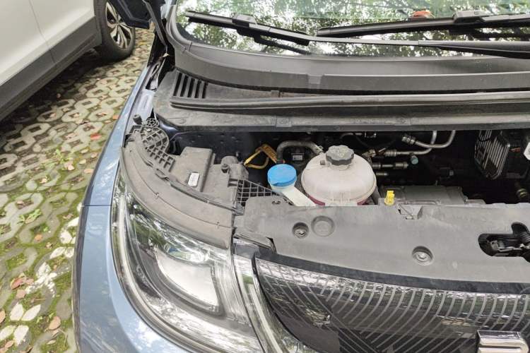 Used BYD Dolphin 2024 Honor Edition 420km Fashion Version Engine Bay Right