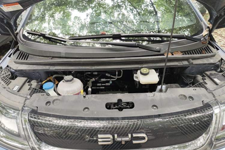 Used BYD Dolphin 2024 Honor Edition 420km Fashion Version Engine Bay