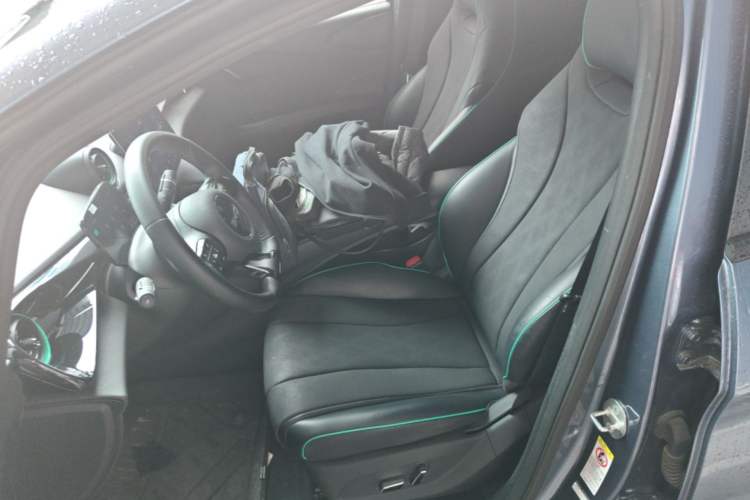 Used BYD Dolphin 2024 Honor Edition 420km Fashion Version Left Front Seat