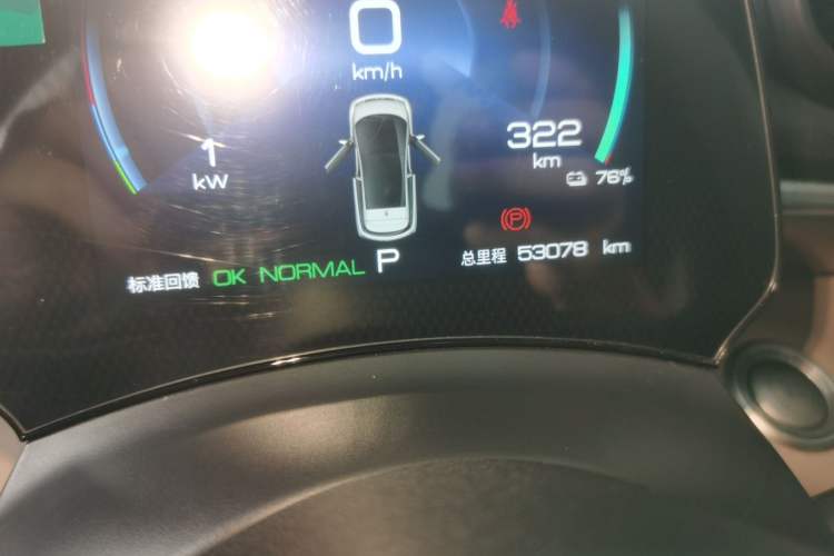 Used BYD Dolphin 2024 Honor Edition 420km Fashion Version Odometer Close Up