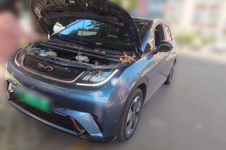 BYD Dolphin 2024 Honor Edition 420km Freedom Version