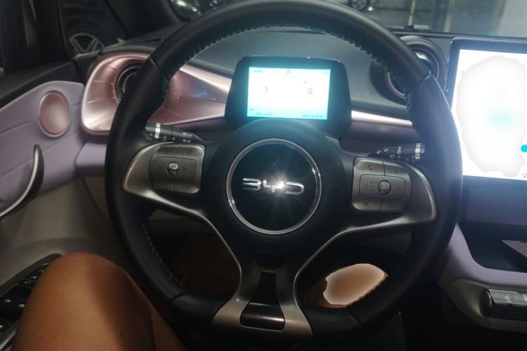 Used BYD Dolphin 2024 Honor Edition 420km Freedom Version Steering Wheel