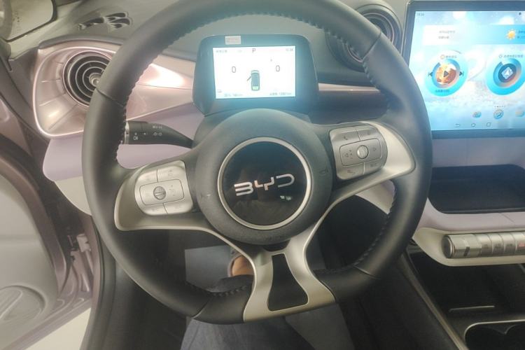 Used BYD Dolphin 2024 Honor Edition 420km Fashion Version Steering Wheel
