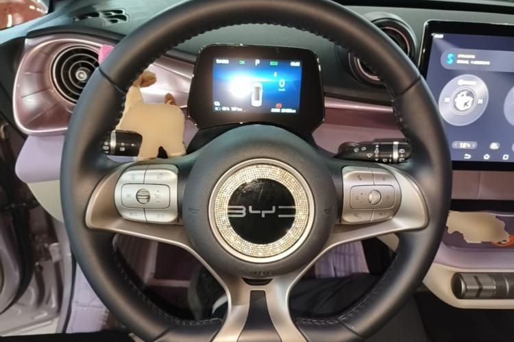 Used BYD Dolphin 2024 Honor Edition 420km Fashion Version Steering Wheel