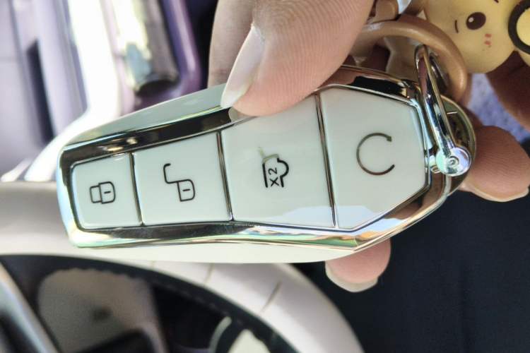 Used BYD Dolphin 2024 Honor Edition 420km Fashion Version Vehicle Key