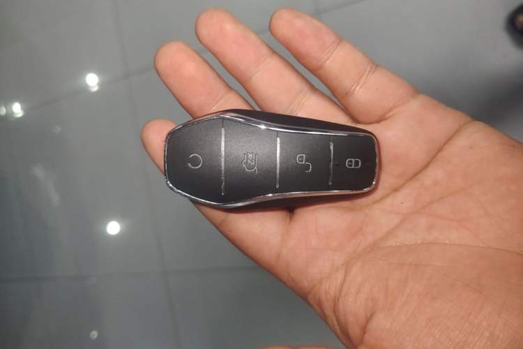 Used BYD Dolphin 2024 Honor Edition 420km Freedom Version Vehicle Key