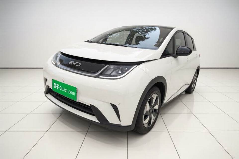 BYD Dolphin 2024