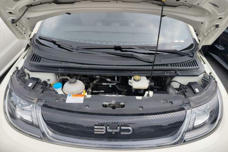 Used BYD Dolphin 2024 Honor Edition 420km Freedom Version Engine Bay