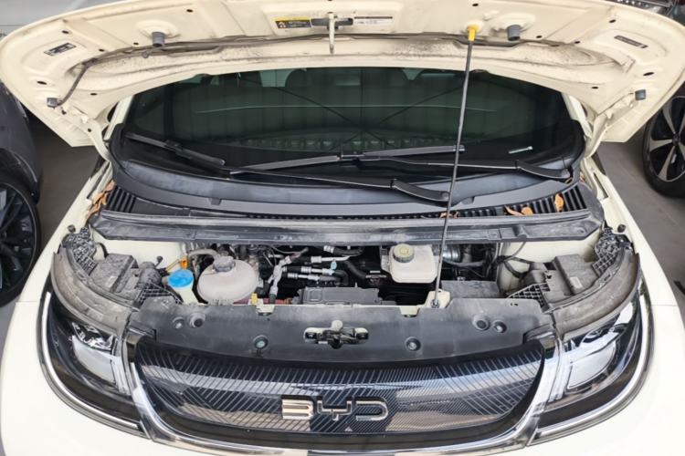Used BYD Dolphin 2024 Honor Edition 420km Fashion Version Engine Bay