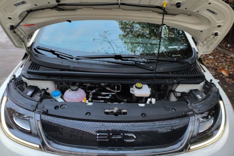 Used BYD Dolphin 2024 Honor Edition 420km Fashion Version Engine Bay